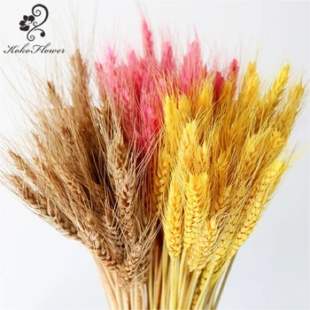 Цвете на Коко 20-50 бр Истински Пшеничен Делегираните от Естествени сухи цветя Сватбена Кутия за Украса за Дома партита САМ Занаят Пшеничен Материал